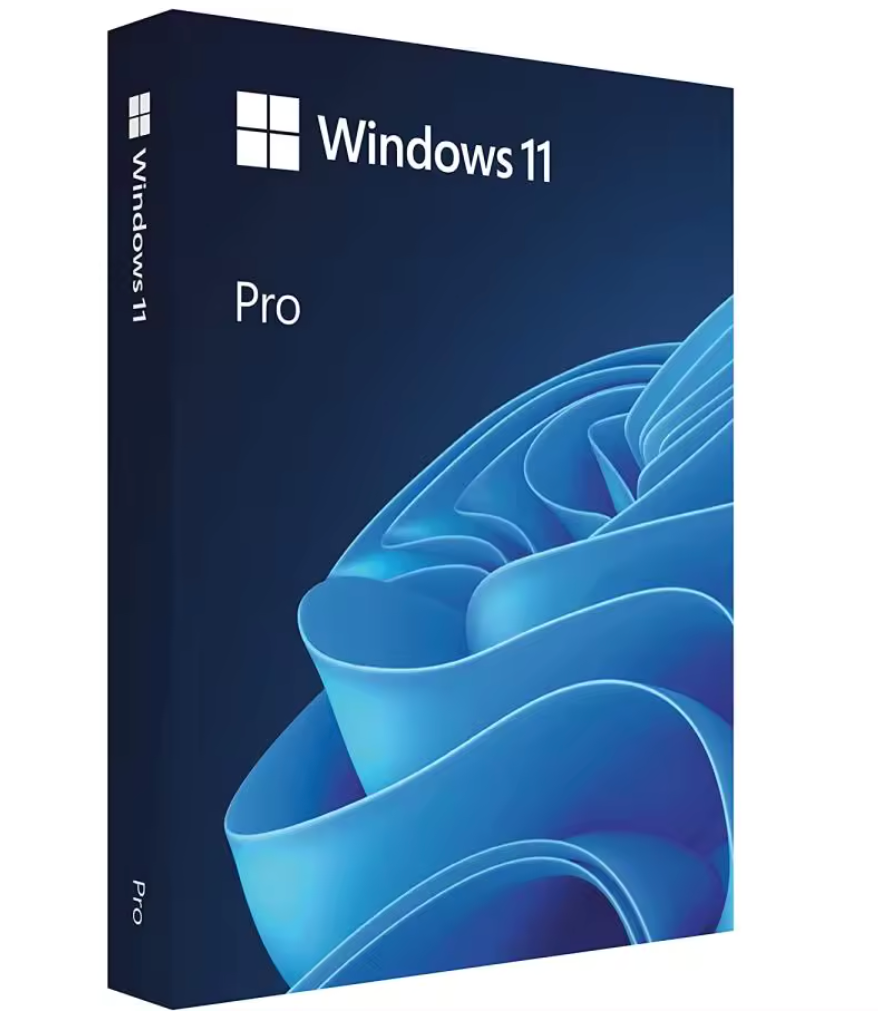 Windows 11 Pro USB And Key